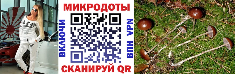 что такое   Бикин  Псилоцибиновые грибы мухоморы 